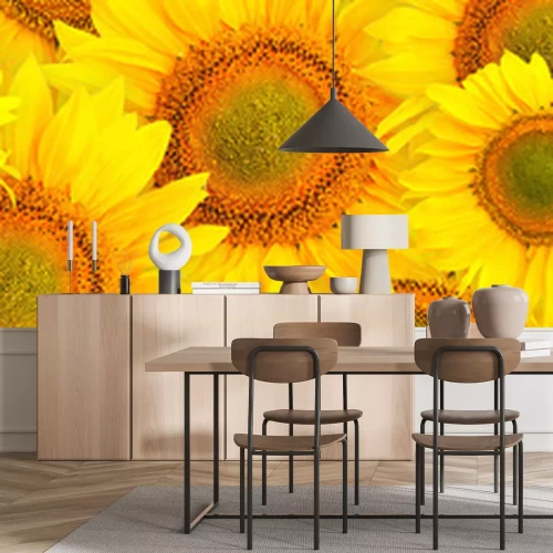 Sticker Muster von Sonnenblumen