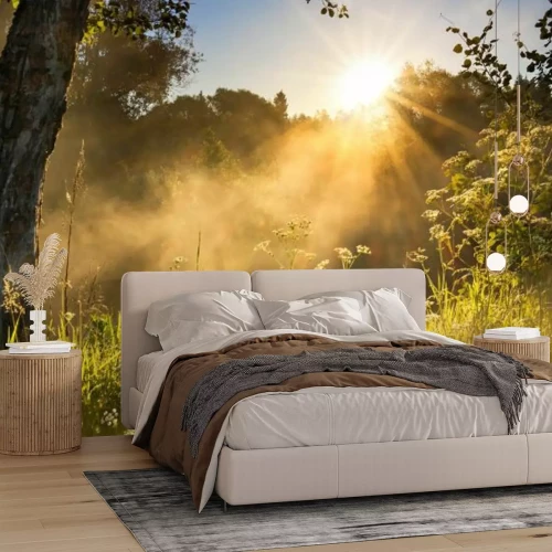 Fototapete Landschaft einer Wiese mit Sonnenaufgang