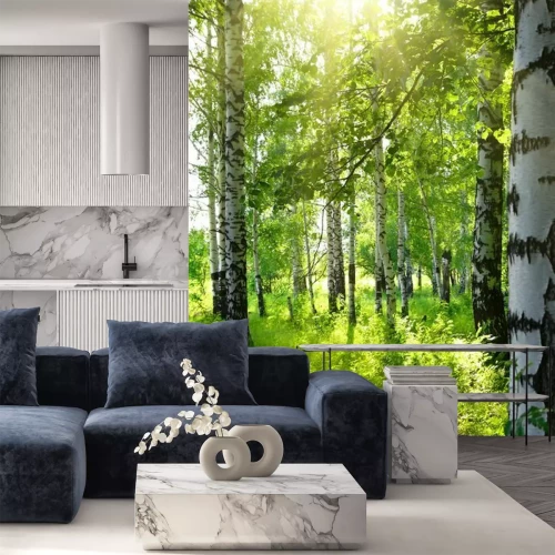 Fototapete Sommer im Birkenwald