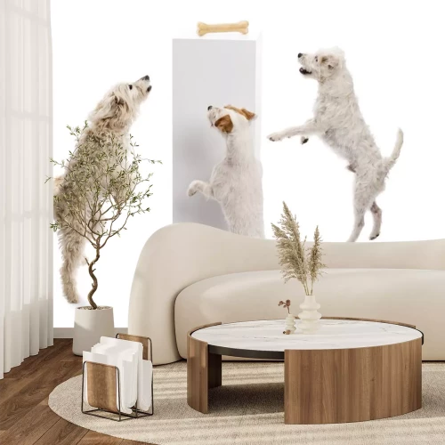 Sticker Haustiere Hunde springen auf den Knochen