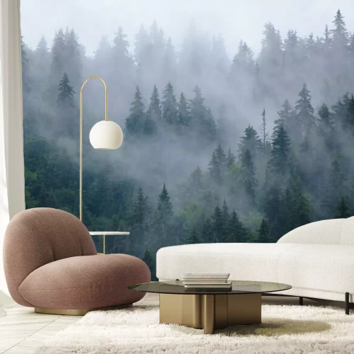 Fototapete Nadelwald und nebel