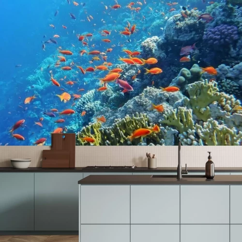 Fototapete Unterwasser-Meereswelt