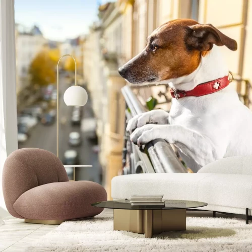 Sticker Haustiere Hund schaut über das Geländer auf dem Balkon