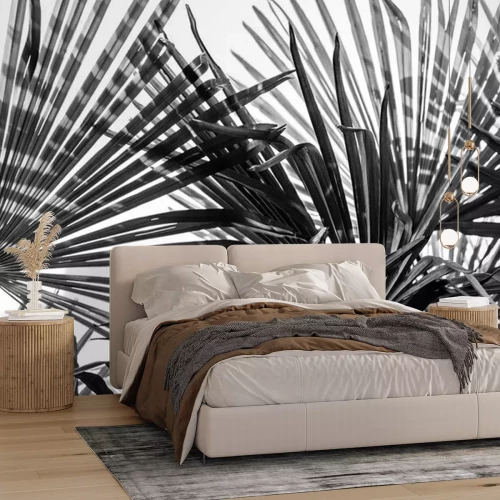 Fototapete Dunkle Palmblätter