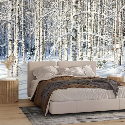 Fototapete Birken im Winter