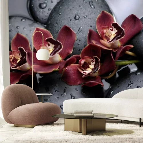 Fototapete Schöne Orchideen auf schwarzen Steinen