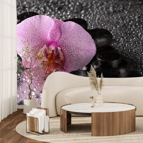 Sticker Spa Steine ​​und Orchidee Blume, auf nassen grauen Hintergrund.
