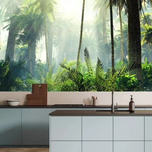 Fototapete Tropical jungle in the fog. Palms in the morning.