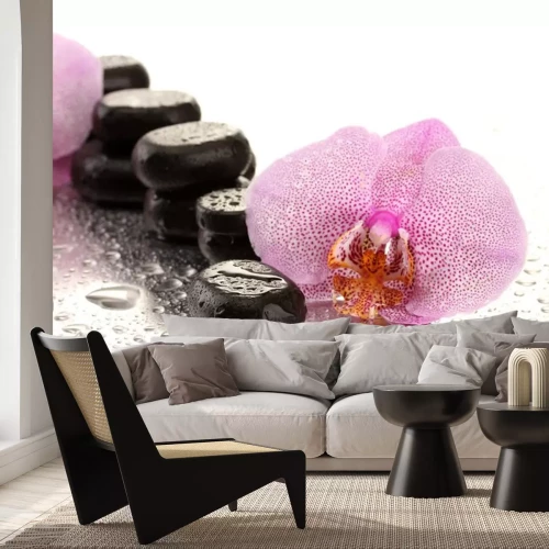 Sticker Spa Steine ​​und Orchidee blüht, auf nassem Hintergrund.
