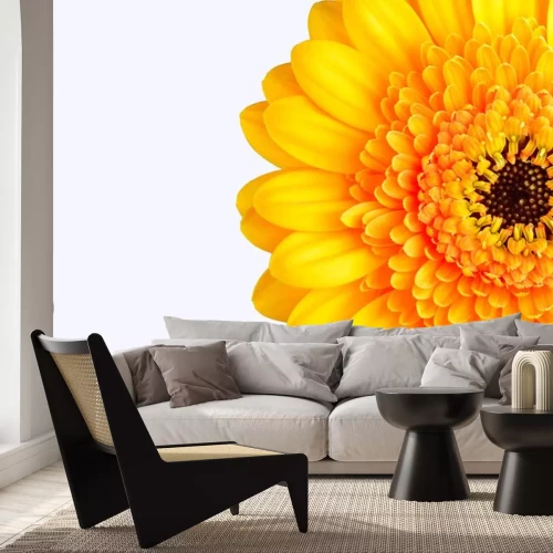 Sticker Große gelbe Blume auf weißem Hintergrund