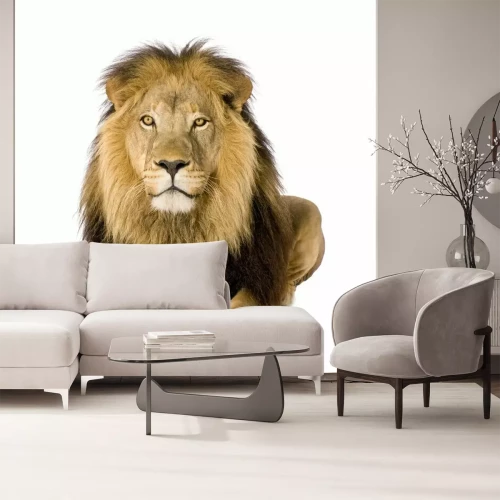 Sticker Majestätischer Löwe mit goldenen Augen