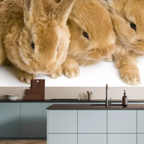 Sticker Tiere Nahaufnahme einer Kaninchenschnauze