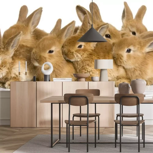 Sticker Haustiere kuschelnde Biskuitkaninchen