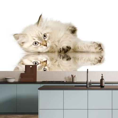 Sticker Tiere Spiegelbild der liegenden Katze