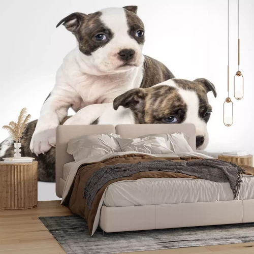 Sticker Tiere: ein Terrier lehnt sich an einen anderen Welpen