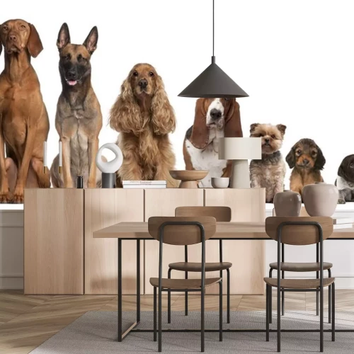 Sticker Haustiere Hunde in verschiedenen Farben