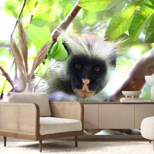 Sticker Wilde Tiere Affe mit rosa Nase und braunen Augen