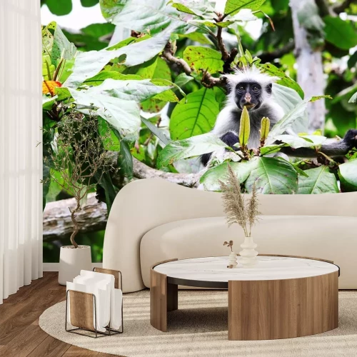 Sticker Wilde Tiere Affen schauen hinter den Blättern hervor