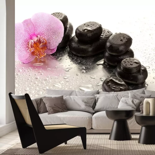 Sticker Spa Steine ​​und Orchidee Blume, auf nassem Hintergrund.