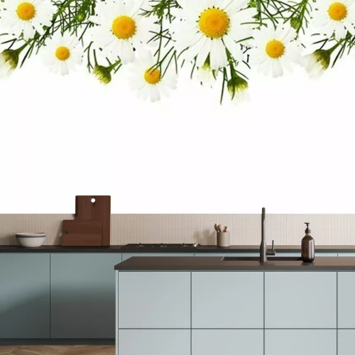 Fototapete Frühlingsgänseblümchen