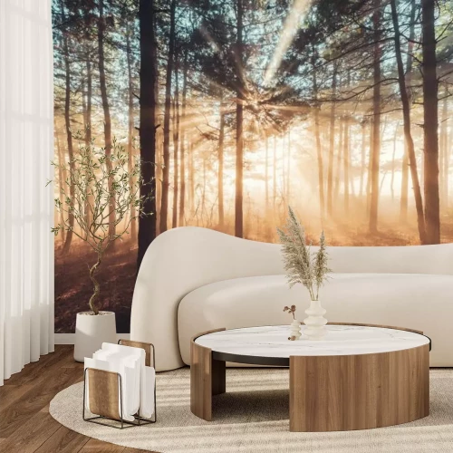 Fototapete Sonnenstrahlen, die durch den nebligen Wald dringen