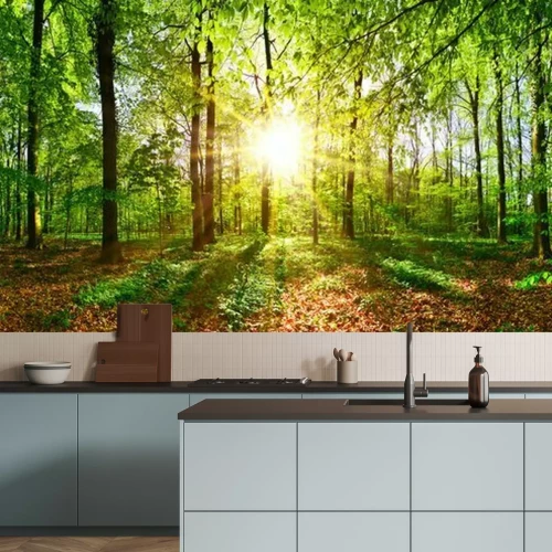 Fototapete Sommertag im wald