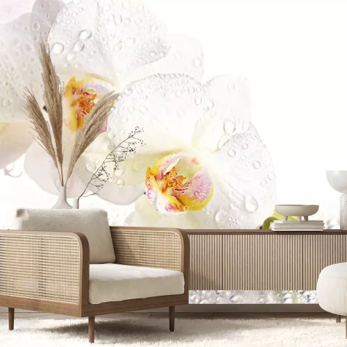 Sticker Weiße Blume im Morgentau