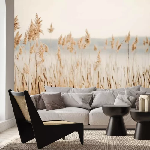 Fototapete Seeufer mit Gras