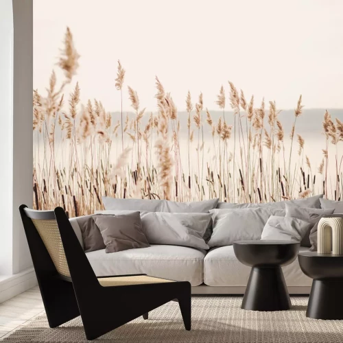 Fototapete Seeufer mit Gras