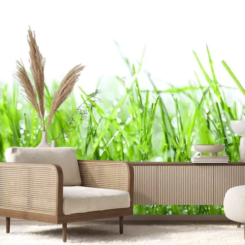 Sticker Grünes Gras mit Tropfen