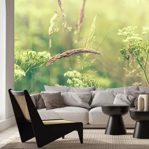 Fototapete Natur und blühende Wiese