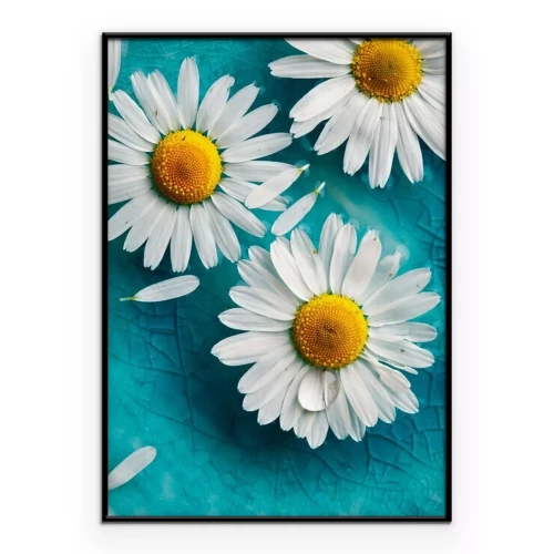 Poster Gänseblümchen auf dem Wasser