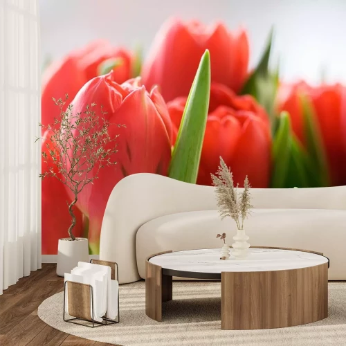 Sticker Lachsfarbene Blüten in einer Nahaufnahme