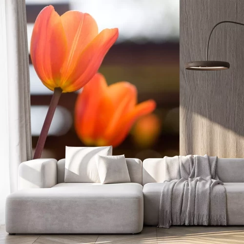 Sticker 3D-Blumen in orangefarbener Farbe