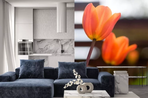 Visualisierung des Produkts