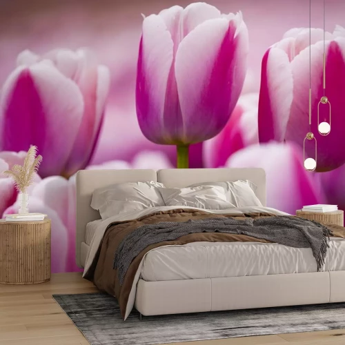 Sticker Blüten mit zweifarbigen Knospen