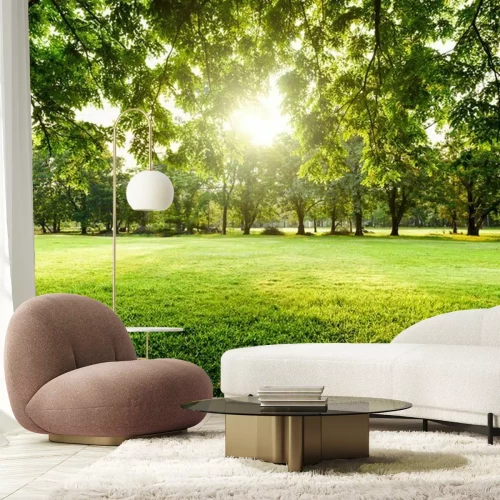 Fototapete Leere Wiese in einem Park