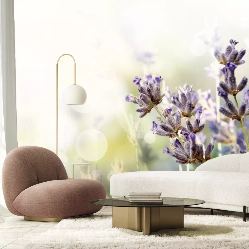 Sticker Feldblumen auf unscharfem Hintergrund