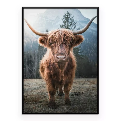 Poster Schottische Kuh am Fuße der Berge