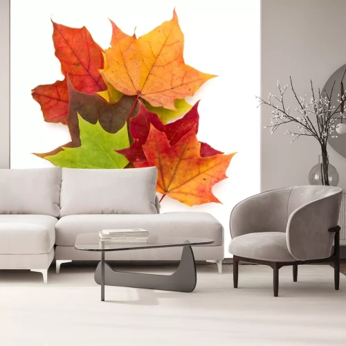 Sticker colorful autumn maple leaf isolated on white background