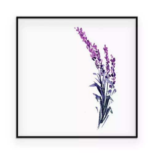 Poster Ein Lavendelzweig, in Aquarell gemalt