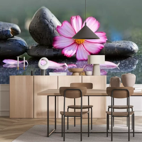 Sticker Black spa stones and pink cosmos flower isolated on green.