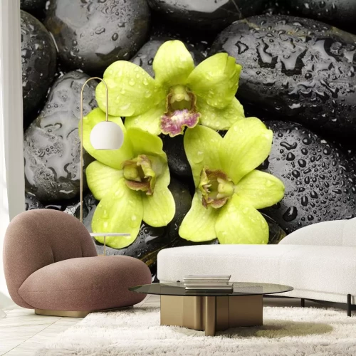 Sticker Grüne Orchidee und Zen-Steine ​​mit Wassertropfen