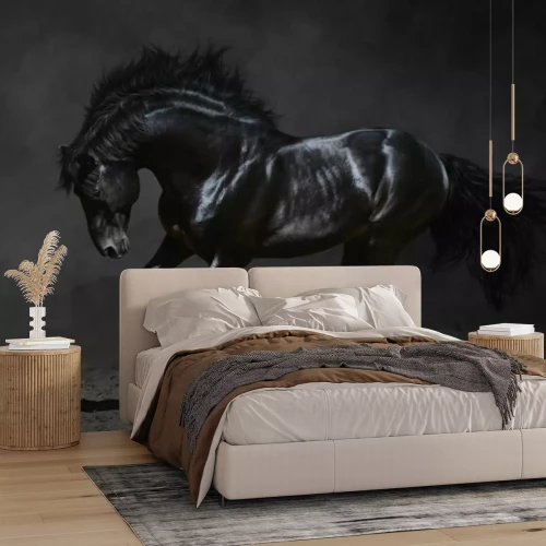 Fototapete Galoppierendes schwarzes Pferd
