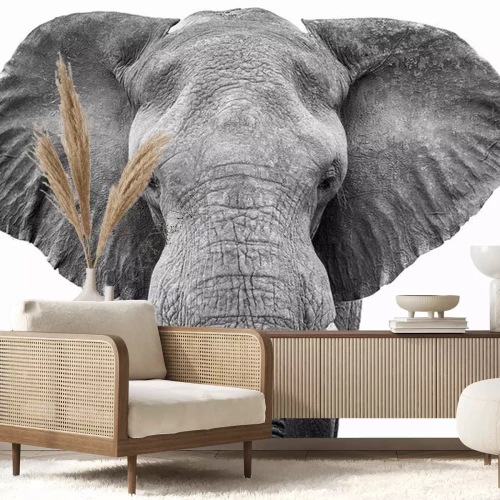 Sticker Schwarz-Weiß-Zeichnung mit einem laufenden Elefanten