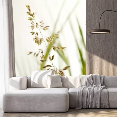 Fototapete Gräser als Natur