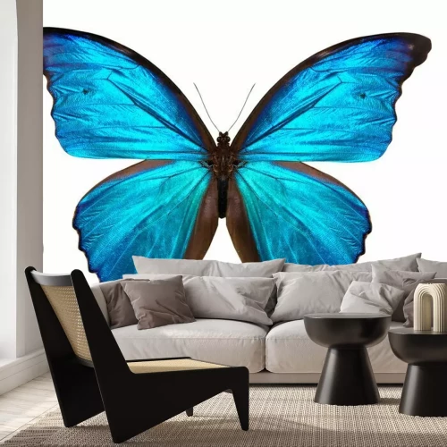 Sticker Schmetterlinge Blau Tropischer