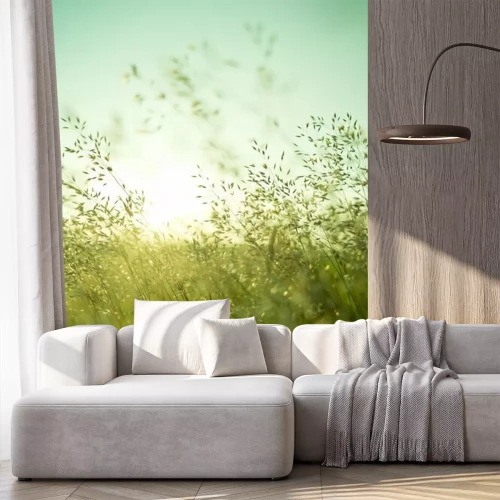 Fototapete Schlanke Gräser wiegen sich im Wind