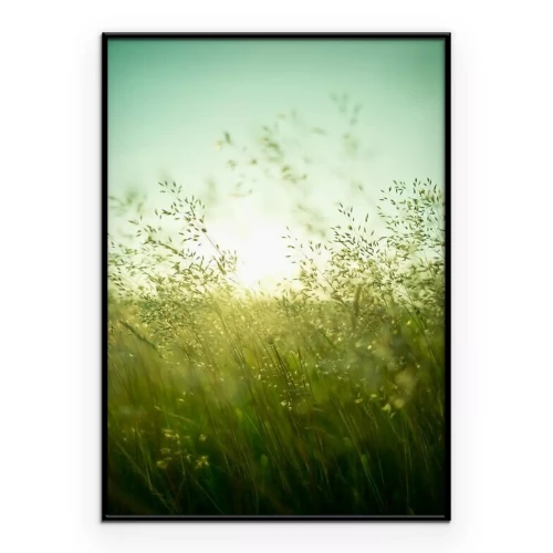 Poster Schlanke Gräser wiegen sich im Wind