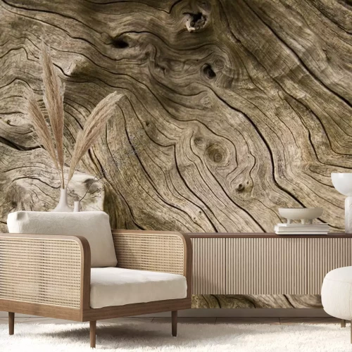 Fototapete Textur des alten Brettes